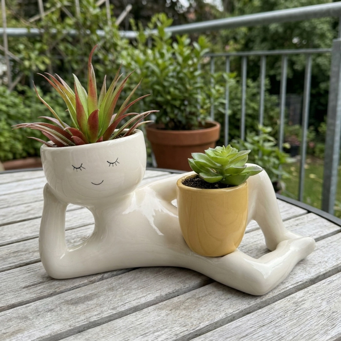 Sleepy Sprout with plants