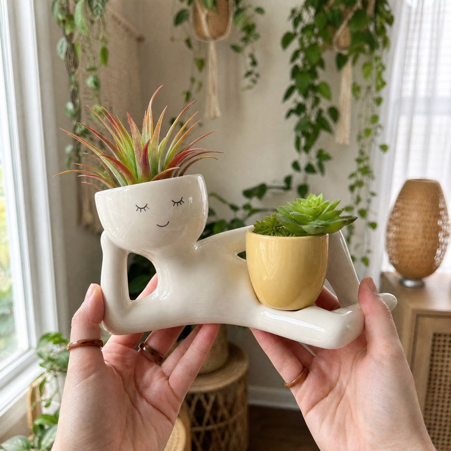 Sleepy Sprout held in hand
