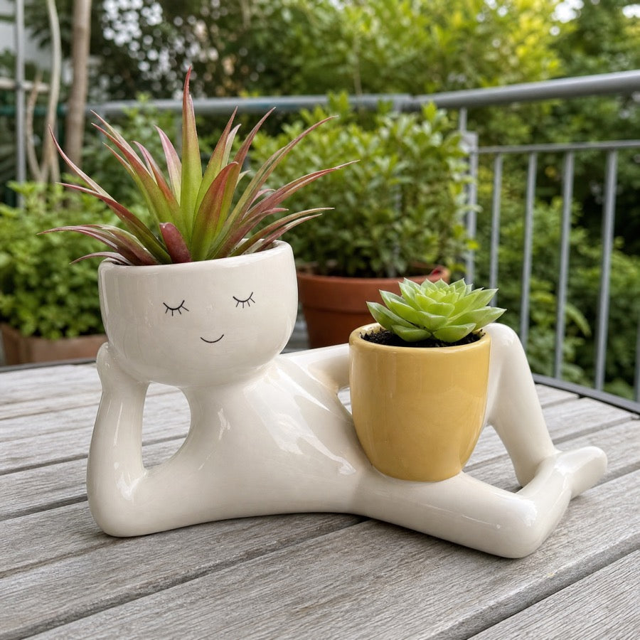Sleepy Sprout on a balcony